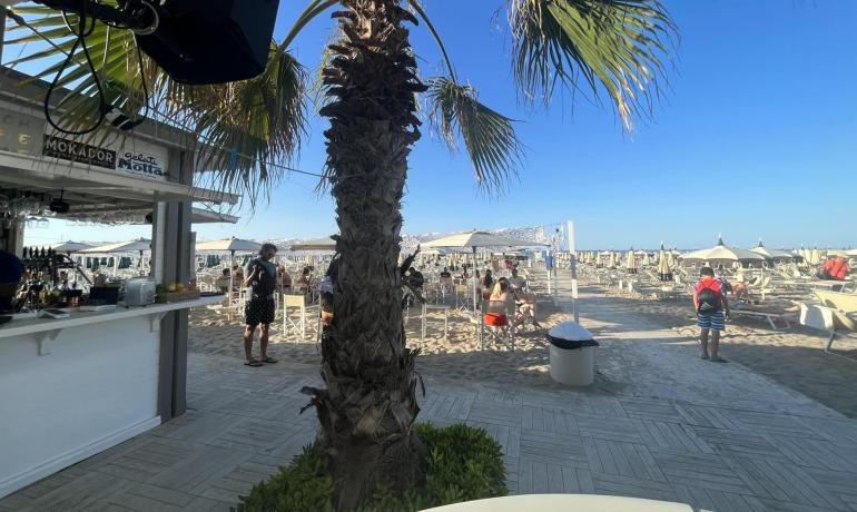 Spiaggia con bar, ombrelloni e palme sotto un cielo azzurro.